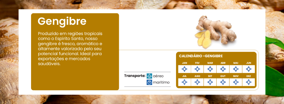 Gengibre